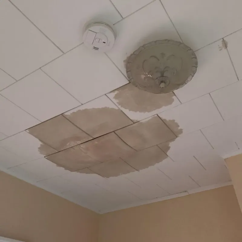 Ceiling Water Damage Repair in Fosston, MN